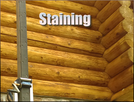  Stinnett, Kentucky Log Home Staining